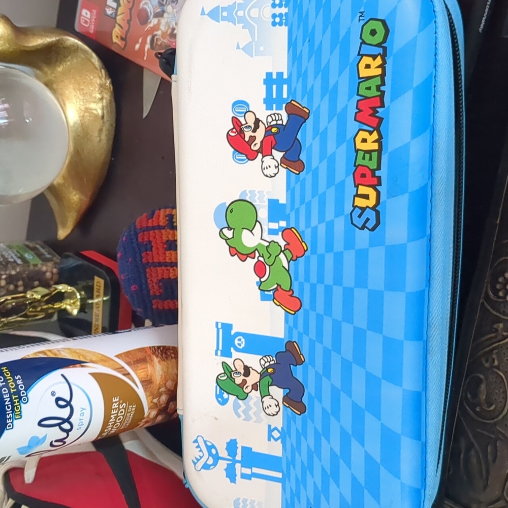 Nintendo Gamer Case